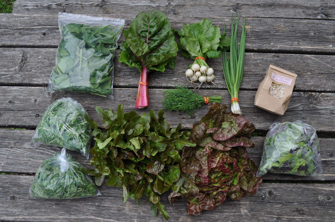 farmstand.jpg